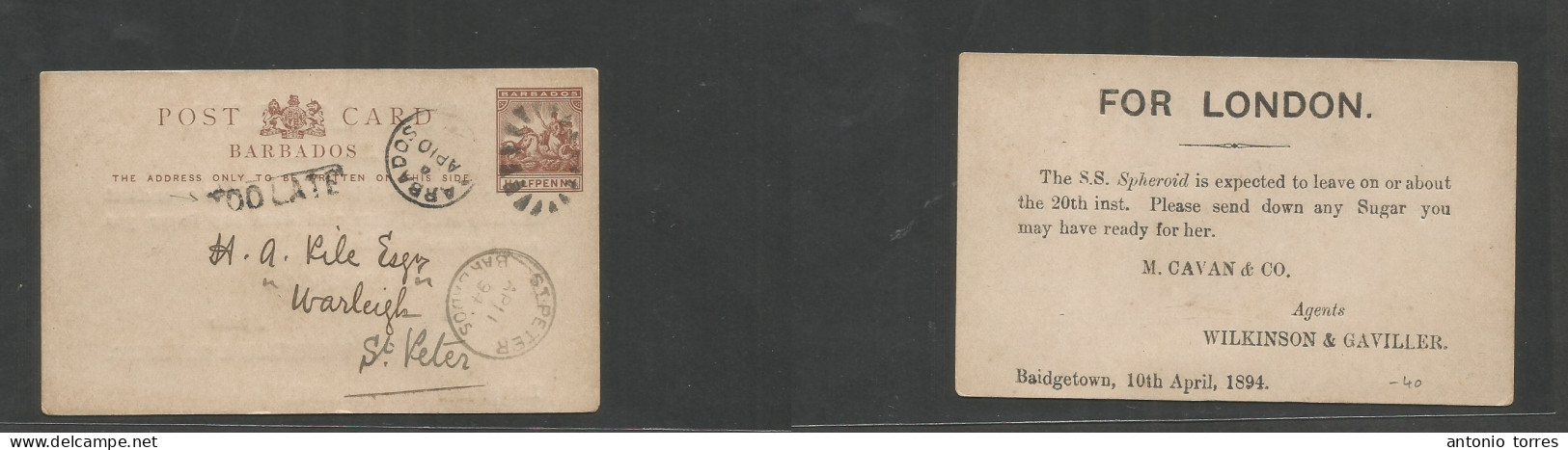 Bc - Barbados. 1894 (10 April) Bridetown - St. Peter (Apr 11) 1/2d Brown Printed Stat Card + "Too Late" Boxed. Fine Loca - Sonstige & Ohne Zuordnung