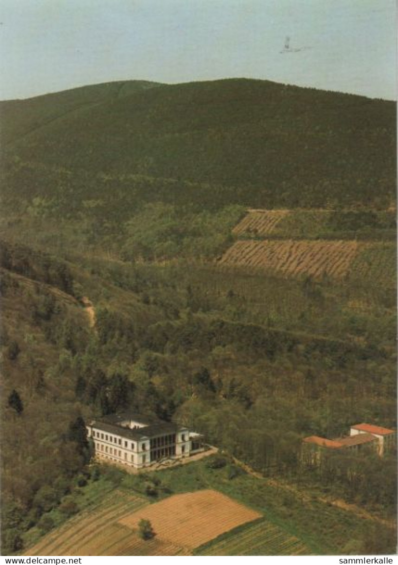 64305 - Edenkoben - Villa Ludwigshöhe - Ca. 1980 - Edenkoben
