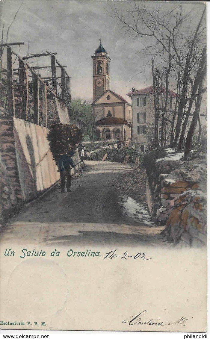 Un Saluto Da Orselina, Piccola Animazione, Un Uomo Che Trasporta Legna Sulle Spalle, Viaggiata 1902 - Orselina