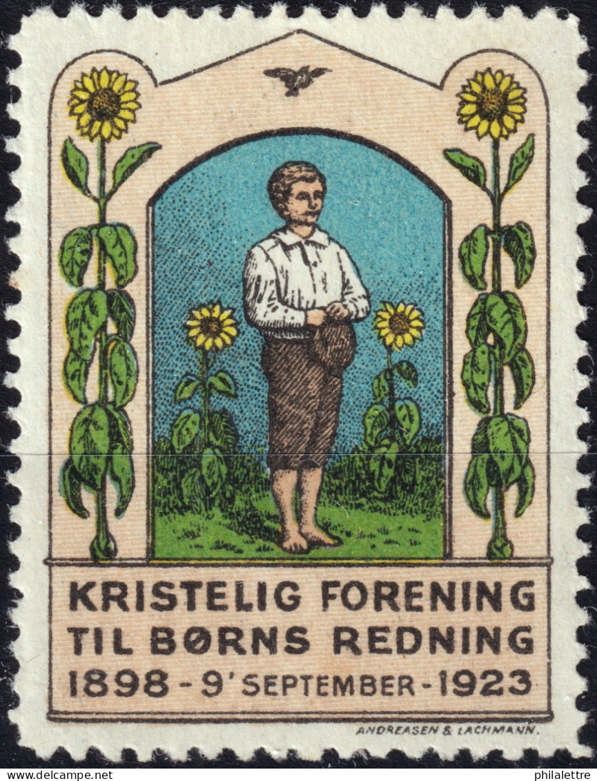 DANEMARK / DENMARK - 1923 Poster Stamp For The 25th Anniversary Of The Danish Christian Association For Children - Mint* - Christianisme