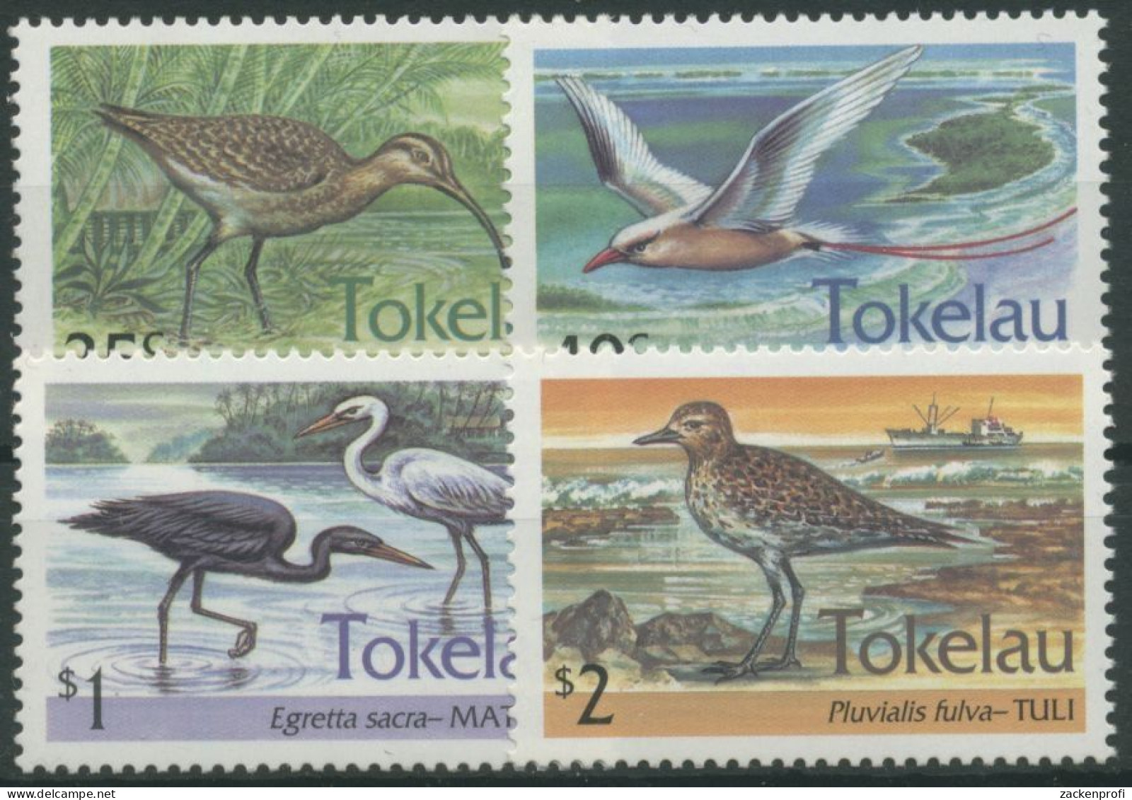 Tokelau 1993 Wasservogel Brachvogel Riffreiher Regenpfeiffer 196/99 Postfrisch - Tokelau