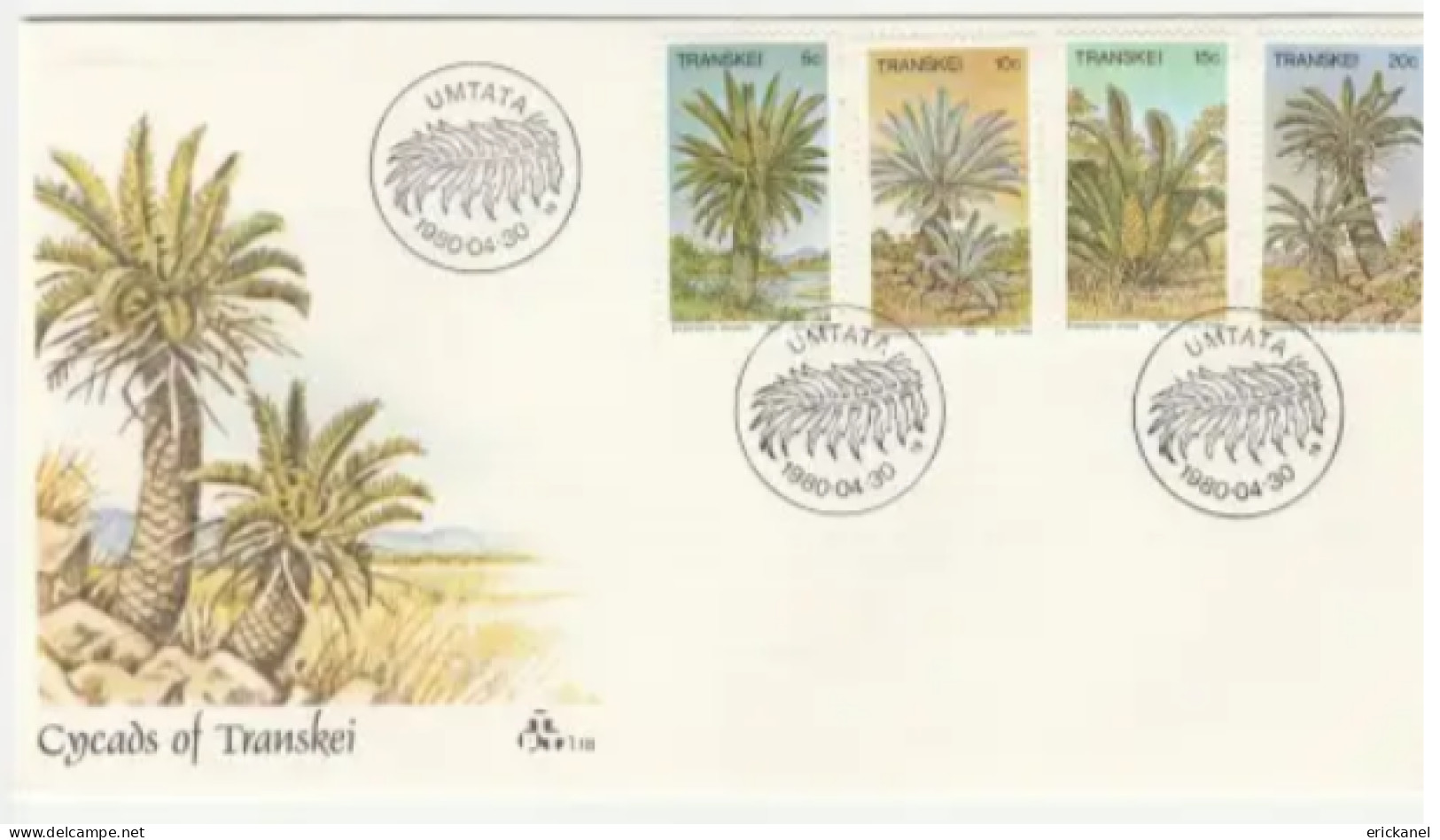 1980 Transkei Cycads FDC 1.18 - Transkei