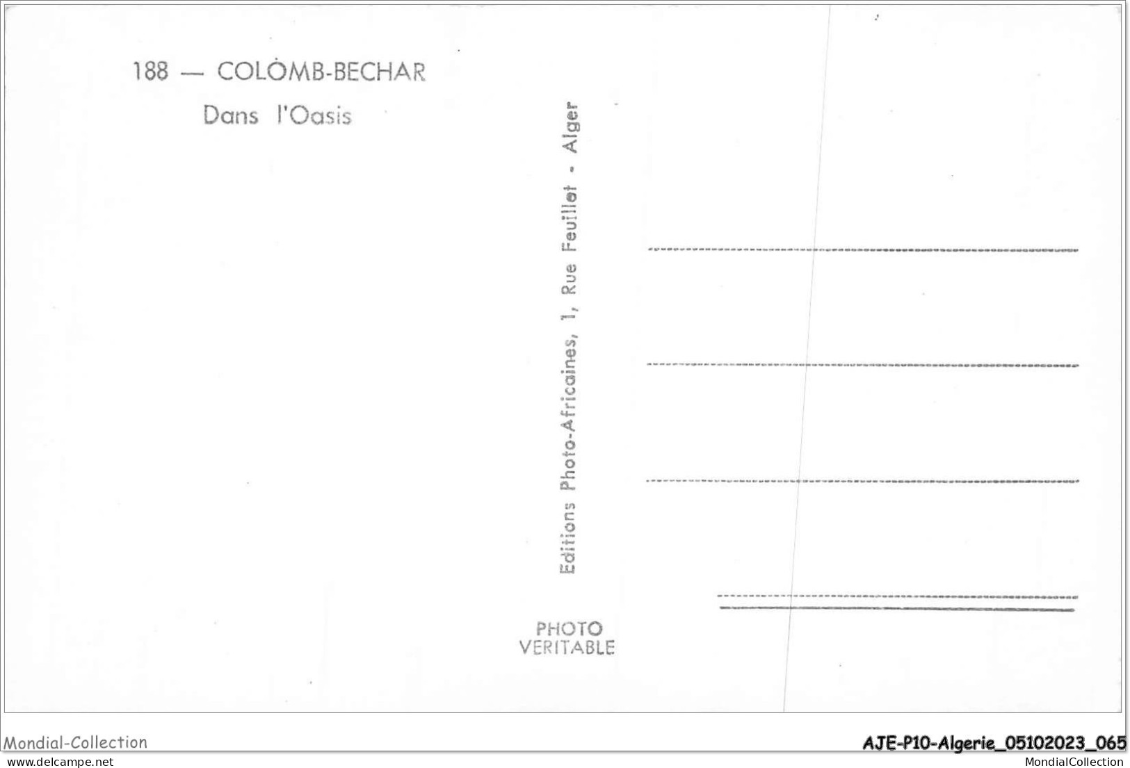 AJEP10-ALGERIE-0945 - COLOM-BECHAR - Dans L'oasis - Bechar (Colomb Béchar)