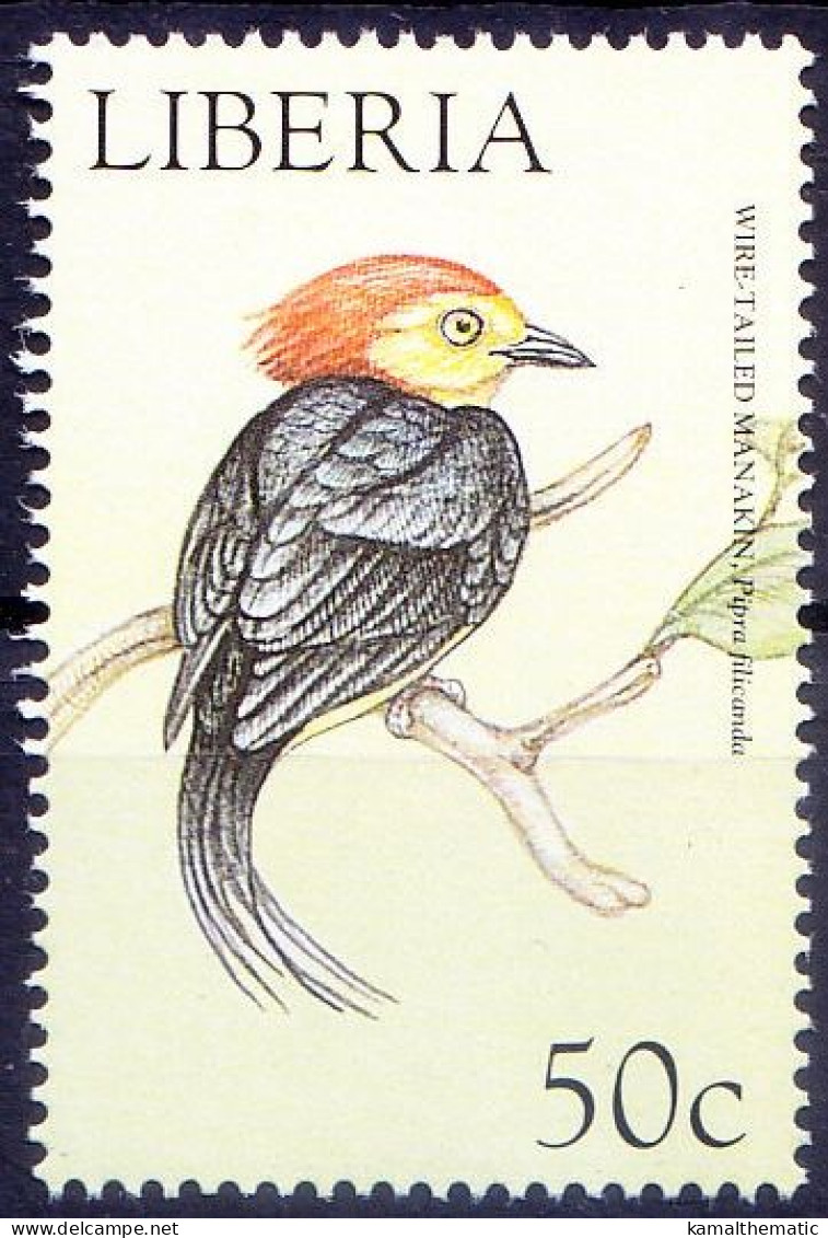 Wire Tailed Manakin, Birds, Liberia 1999 MNH - Pájaros Cantores (Passeri)