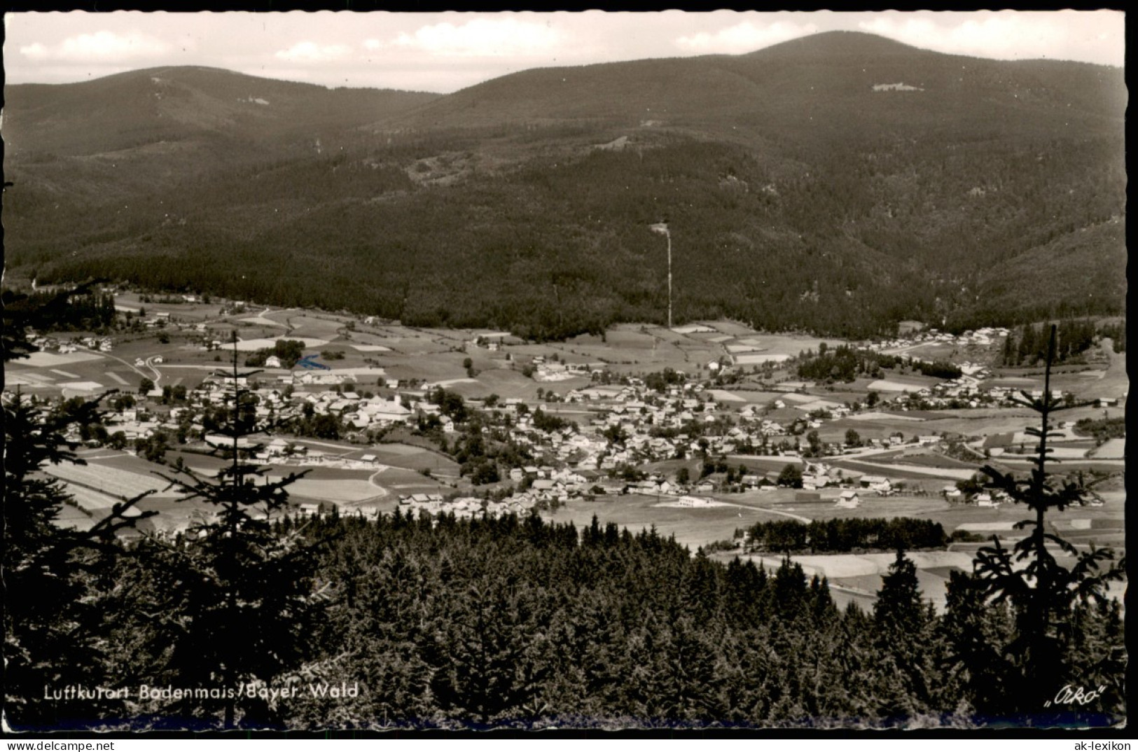 Bodenmais Panorama-Ansicht Gesamtansicht Ort Im Bayer. Wald 1960 - Bodenmais