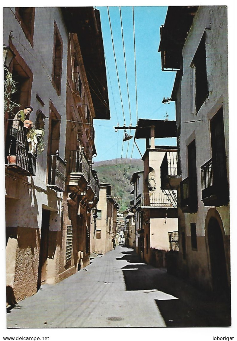 CALLE DEL AGUA / WATER'S STREET.- VILLAFRANCA DEL BIERZO - LEÓN.- (ESPAÑA) - León