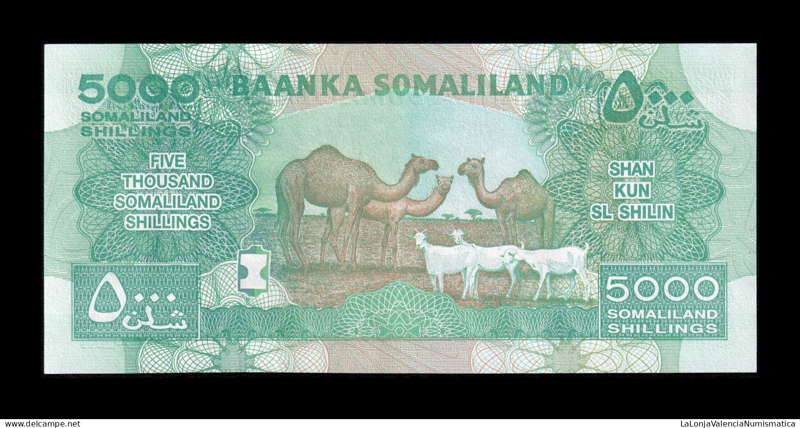 Somalilandia 5000 Shillings 2016 Pick 21d Sc Unc - Somalia