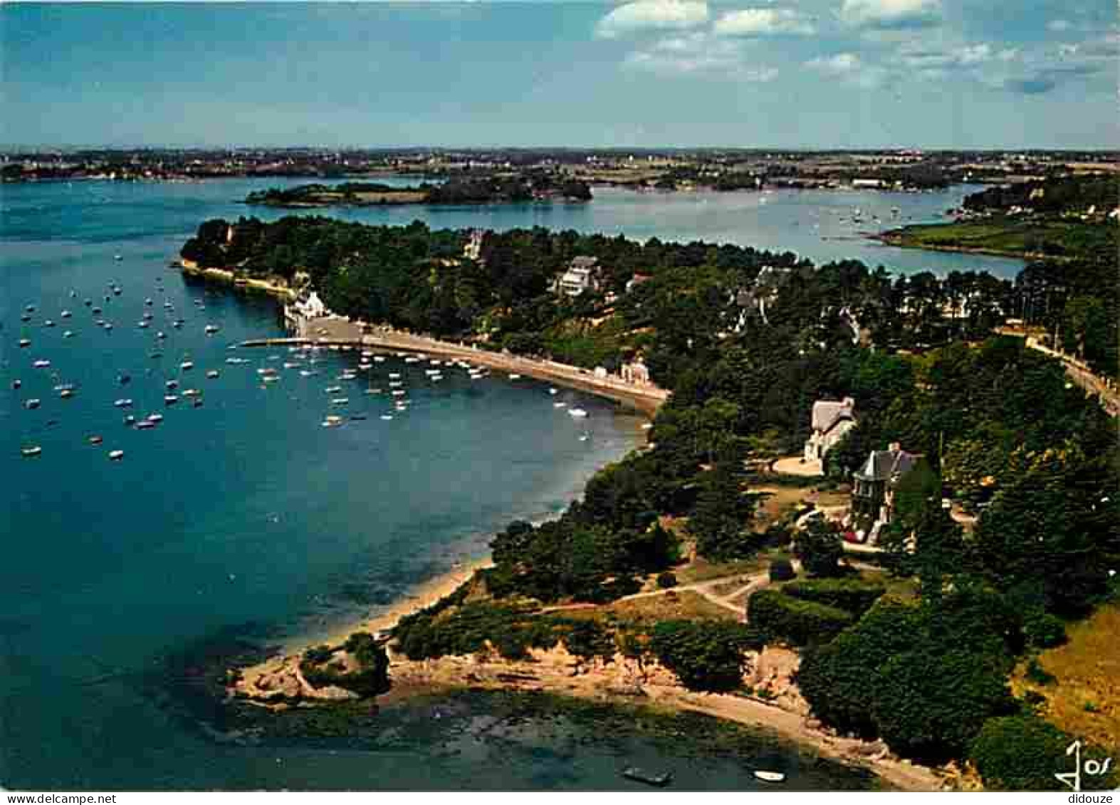 56 - Arradon - Le Golfe Du Morbihan - La Pointe D'Arradon - Vue Aérienne - CPM - Voir Scans Recto-Verso - Arradon