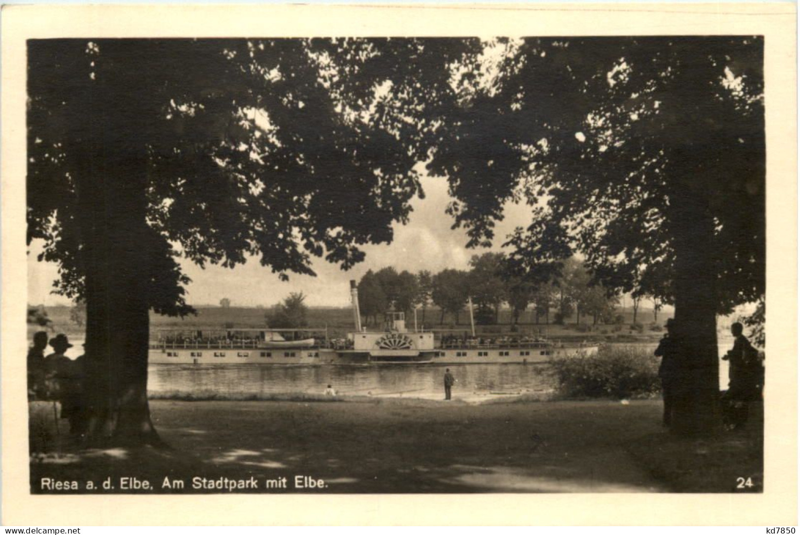 Riesa An Der Elbe, Am Stadtpark Mit Elbe - Riesa