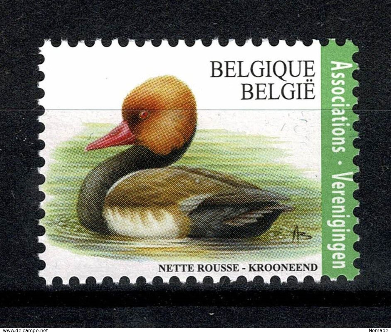 Belgique Oiseaux Buzin 2018 Nette Rousse COB 4759 Associations - Unused Stamps