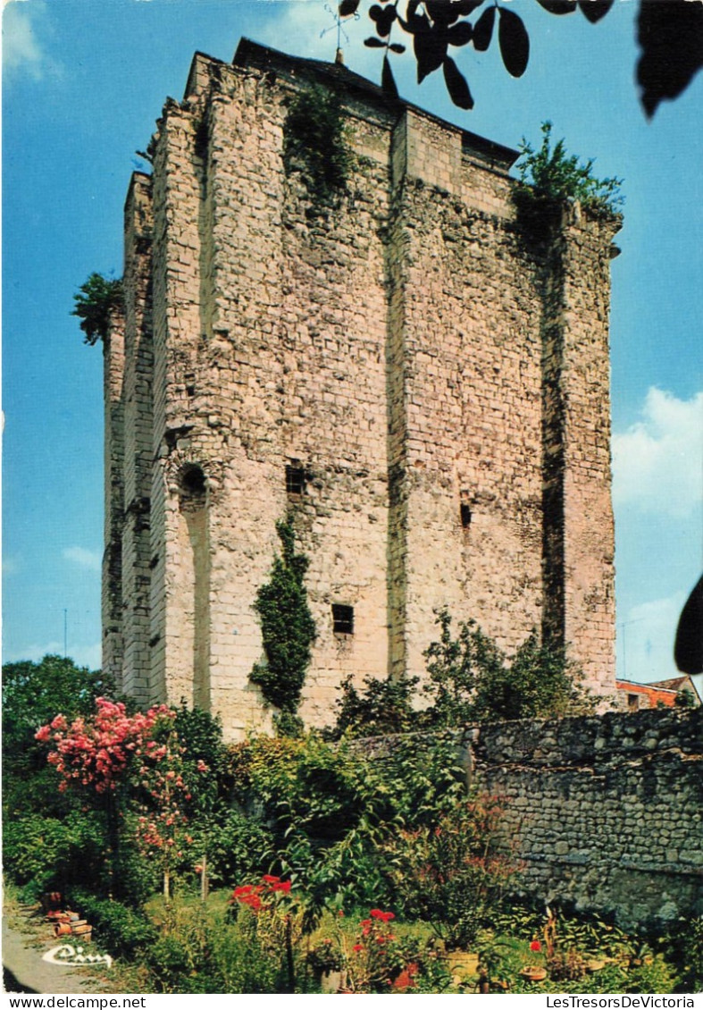 FRANCE - La Roche Posay - Le Donjon - Carte Postale - La Roche Posay