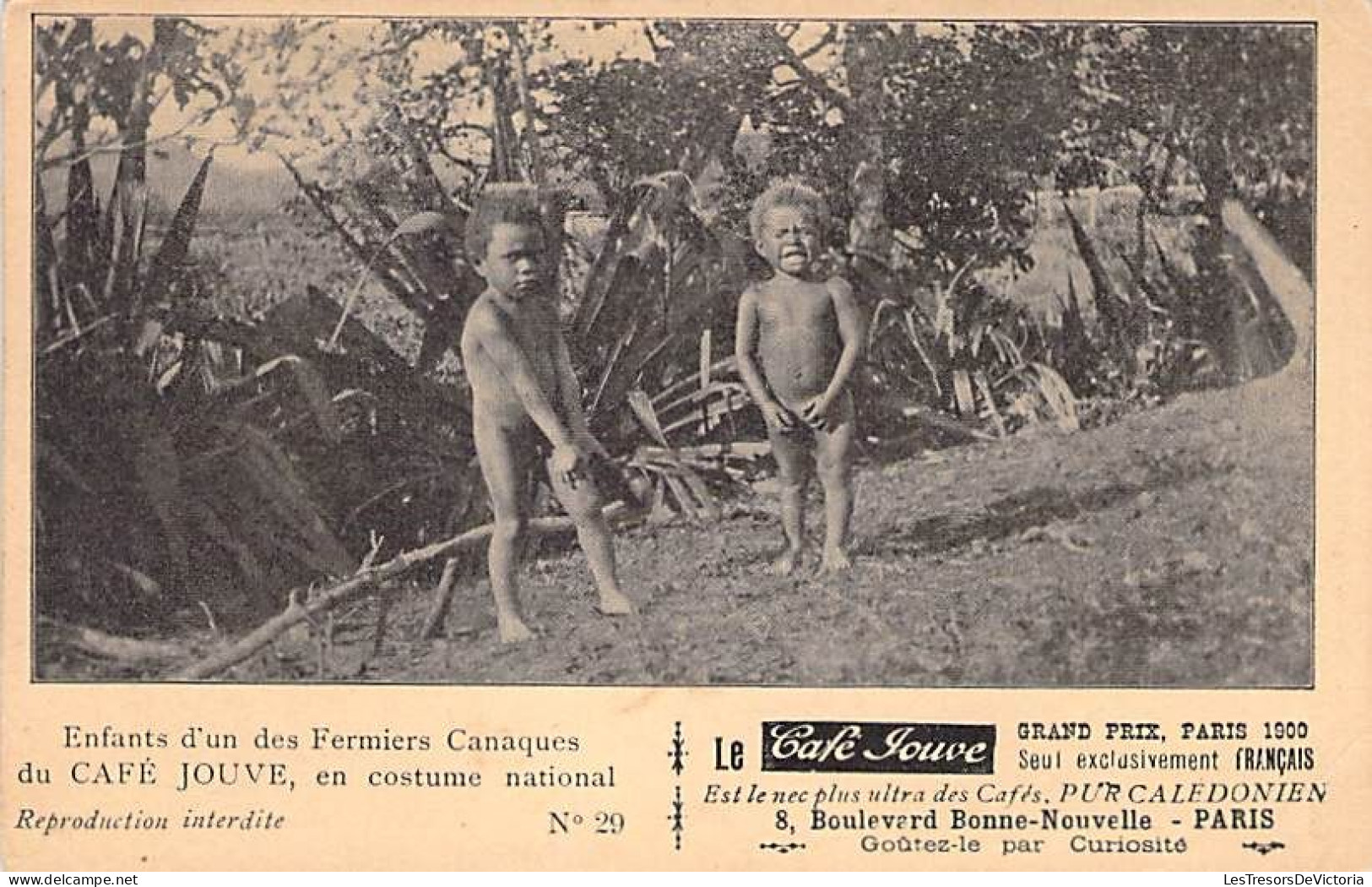Nouvelle Calédonie - Enfants D'un Des Fermiers Canaques Du Café Jouve En Costume National- Carte Postale Ancienne - New Caledonia