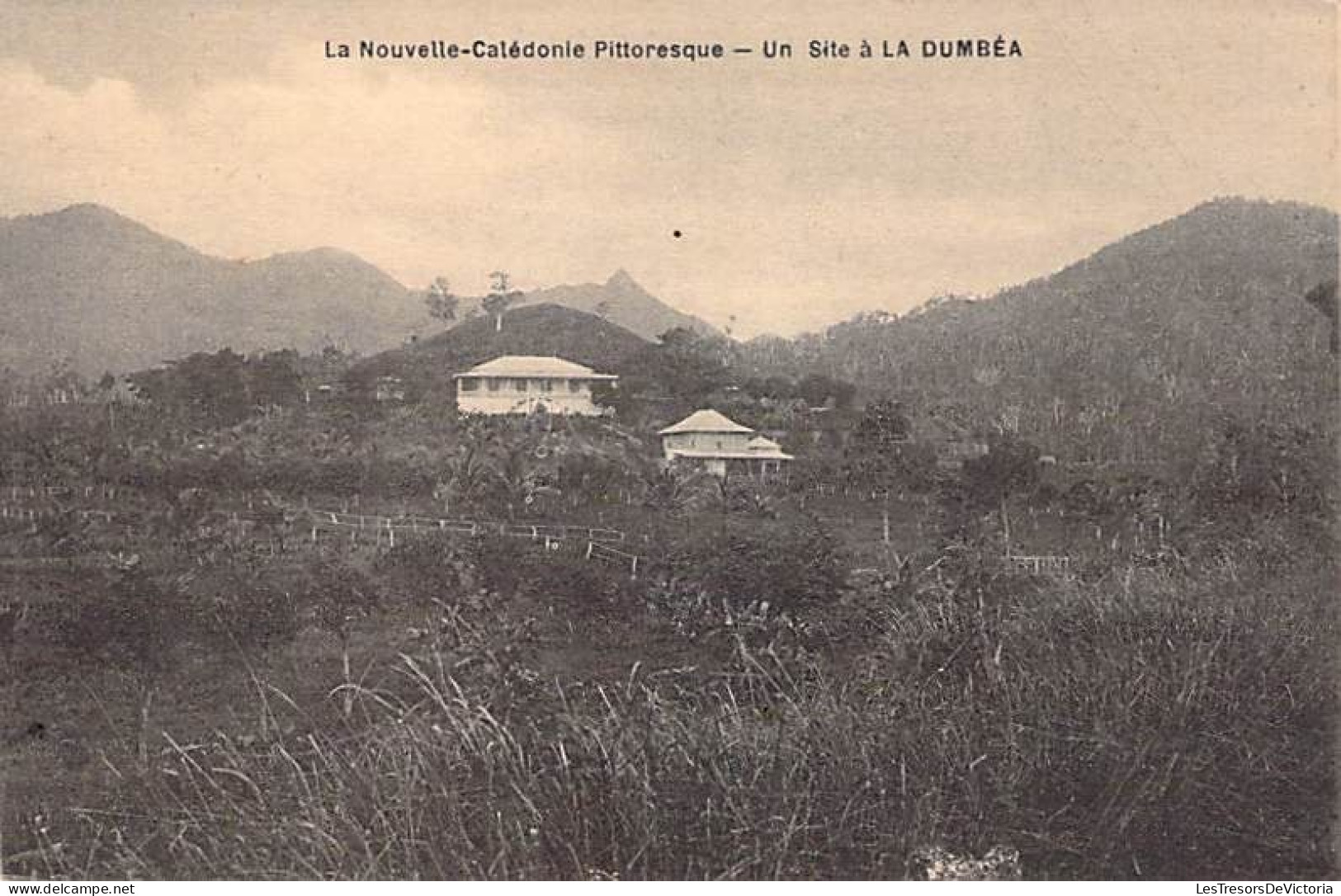 Nouvelle Calédonie Pittoresque - Un Site à La Dumbéa - Carte Postale Ancienne - New Caledonia