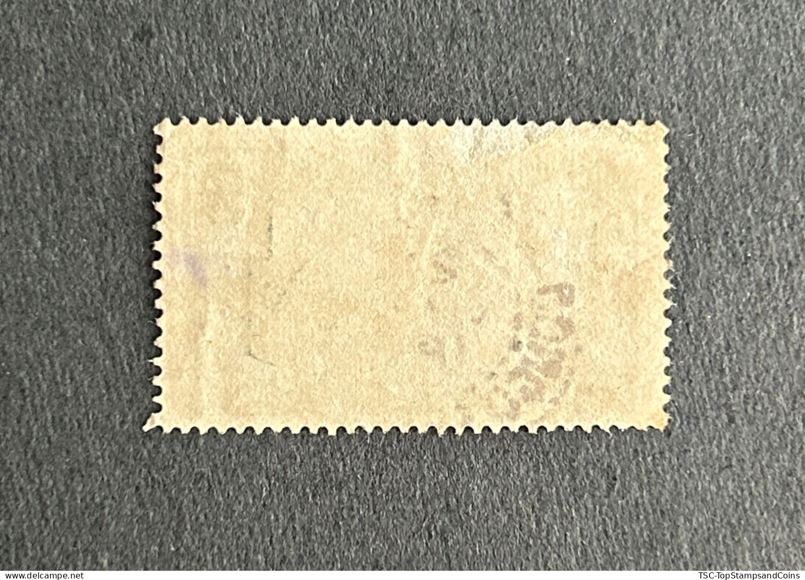 FRCG051U5 - Leopard - 5 C Used Stamp - Middle Congo - 1907 - Usati