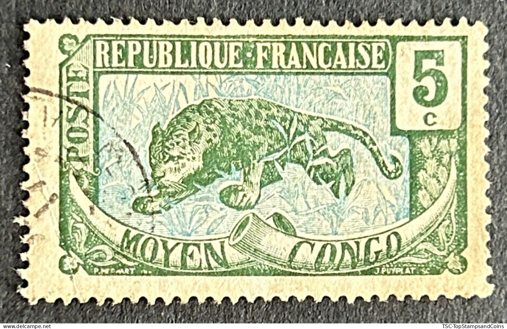 FRCG051U6 - Leopard - 5 C Used Stamp - Middle Congo - 1907 - Usados