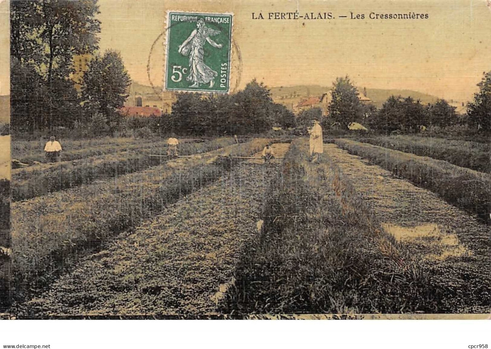 91.n°59499.la Ferté Alais.carte Toilé.les Cressonnières - La Ferte Alais