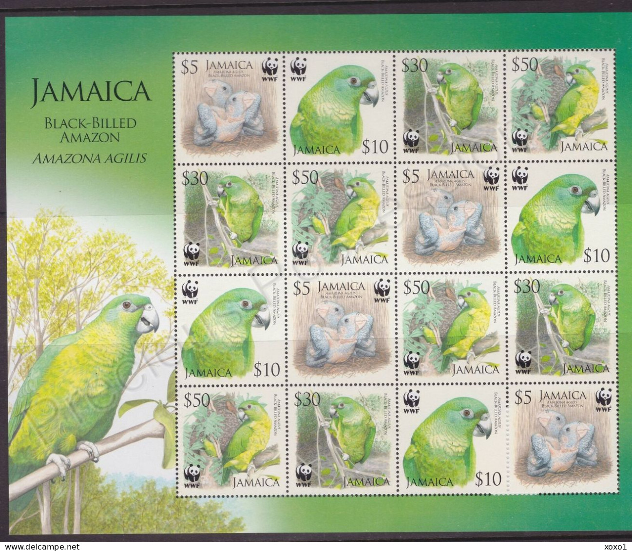 Jamaica 2006 MiNr. 1122 - 1125 Jamaika WWF Birds, Parrots, Black-billed Amazon M/sh MNH** 12.80 € - Papegaaien, Parkieten