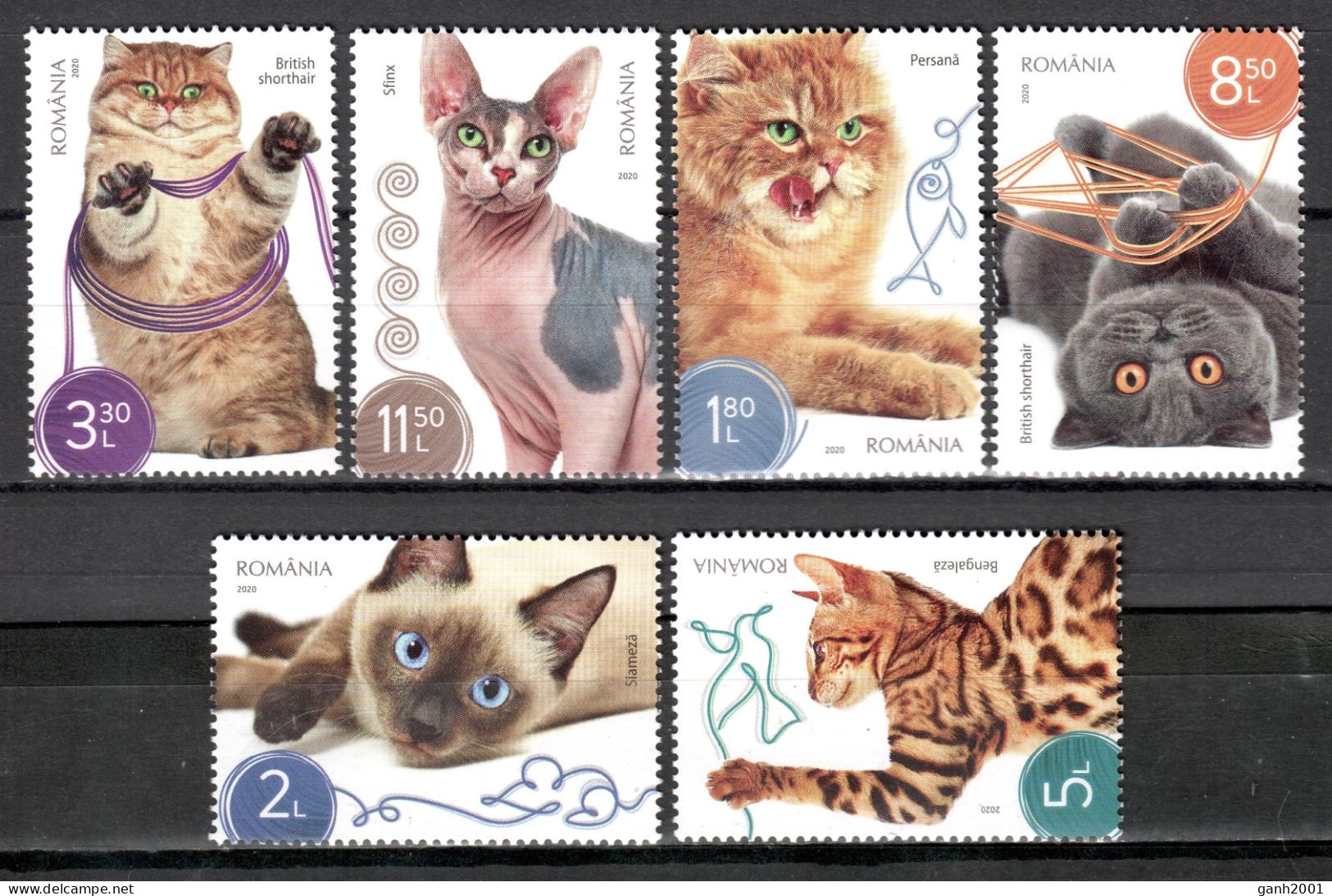 Romania 2020 Rumanía / Cats MNH Gatos Katzen Chats / Cu22103  27-17 - Gatos Domésticos