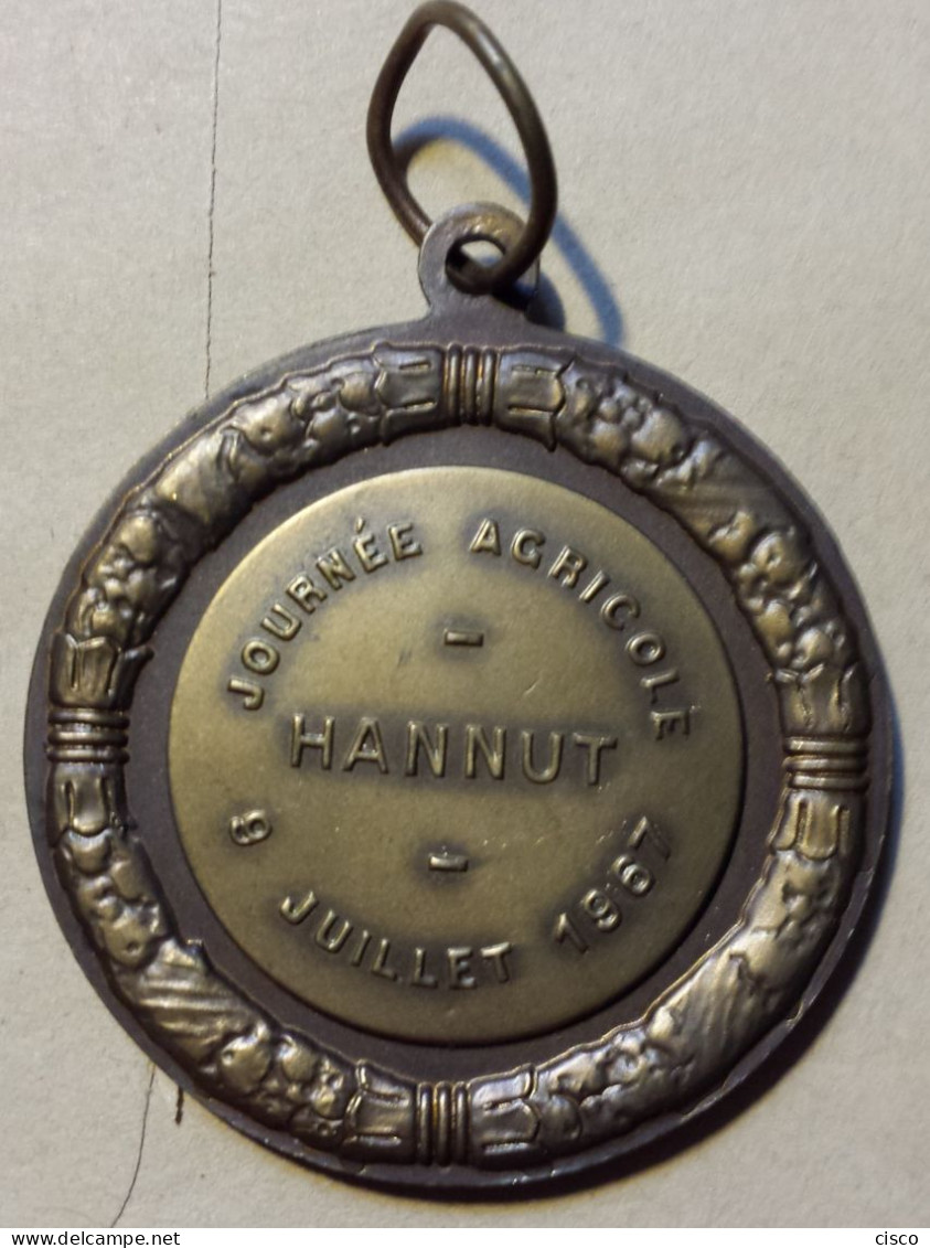 BELGIQUE Médaille Concours Agricole 3 Têtes De Cochon HANNUT   9 Juillet 1967 - Unternehmen