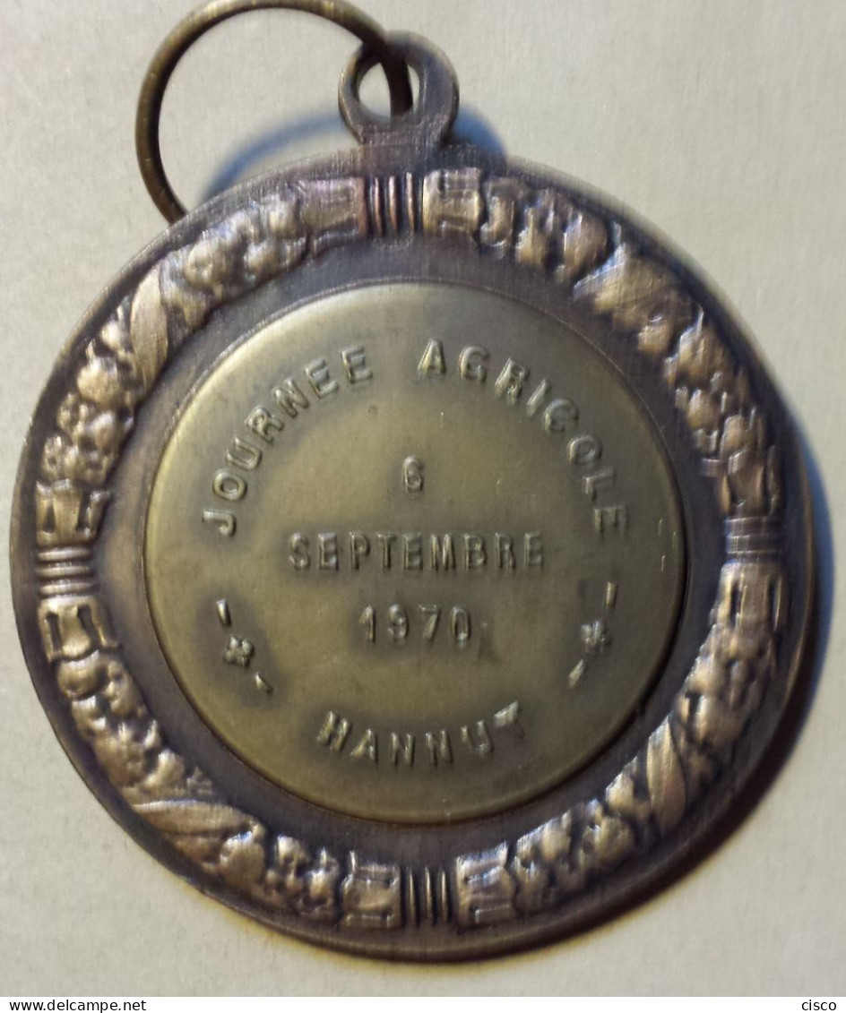 BELGIQUE Médaille Concours Agricole 3 Têtes De Cochon HANNUT   6 Septembre 1970 - Professionals / Firms
