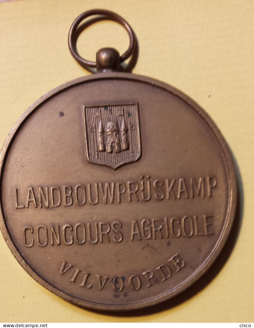 Médaille FISHWEILER Concours Agricole BAUDOUIN FABIOLA Landbouwprijskamp Vilvoorde Bronze - Firma's