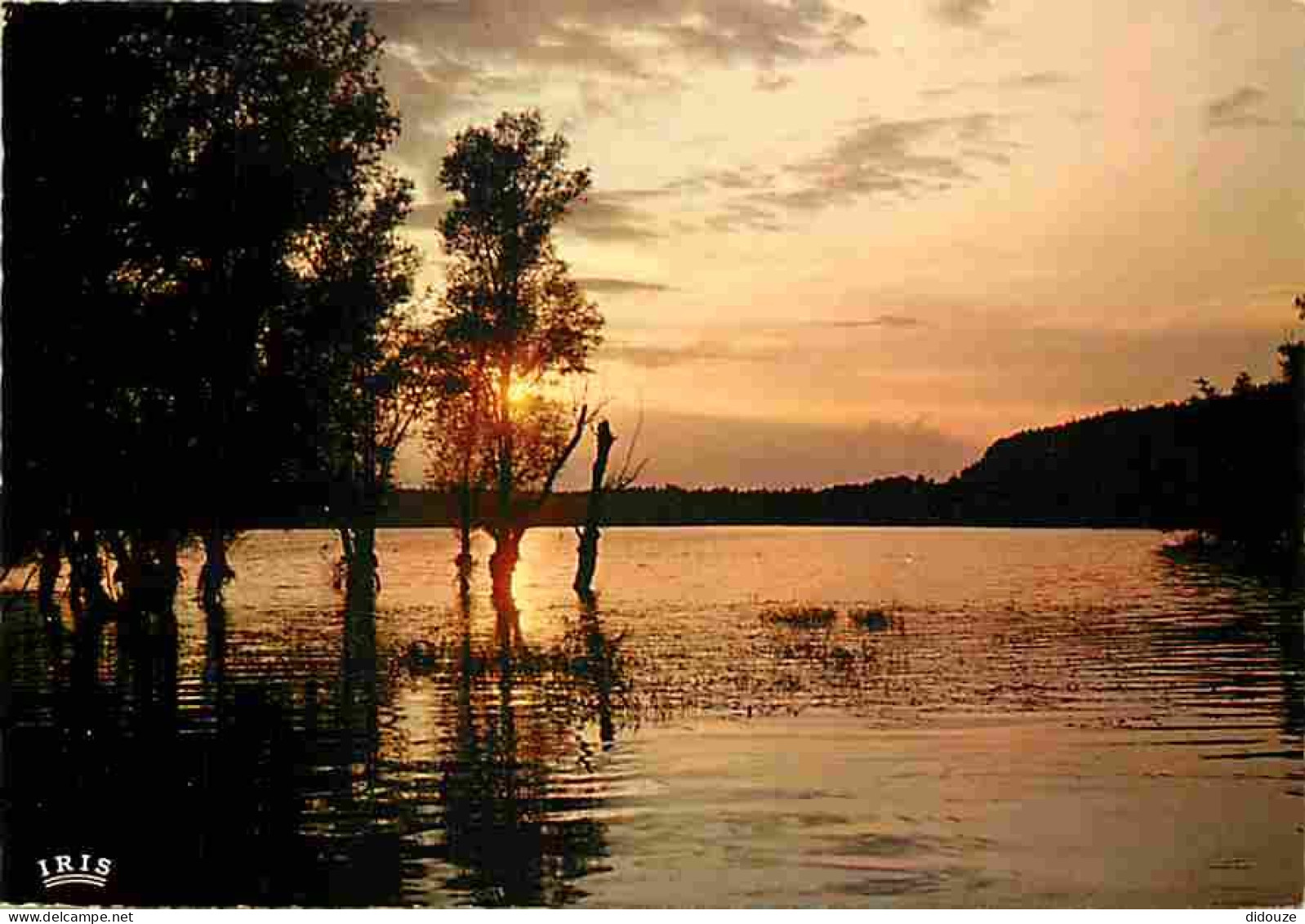 31 - Saint Ferreol - Coucher De Soleil Sur Le Lac - Flamme Postale - CPM - Voir Scans Recto-Verso - Saint Ferreol