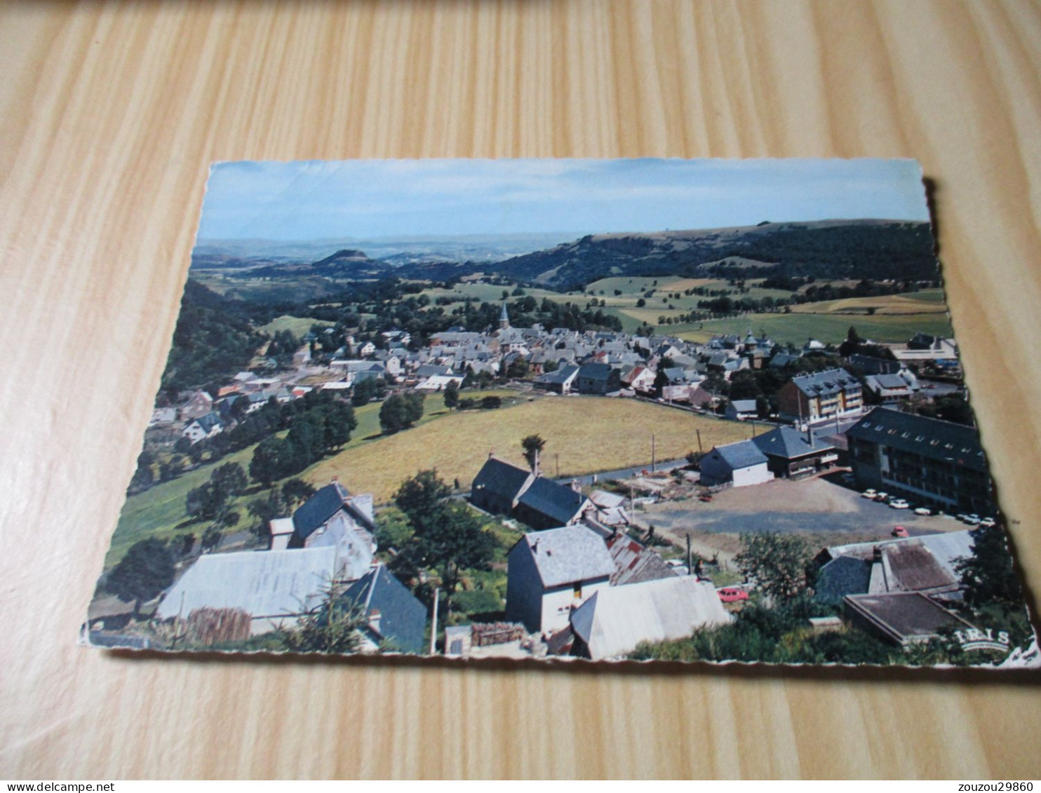 Besse-en-Chandesse (63).Vue Générale. - Besse Et Saint Anastaise