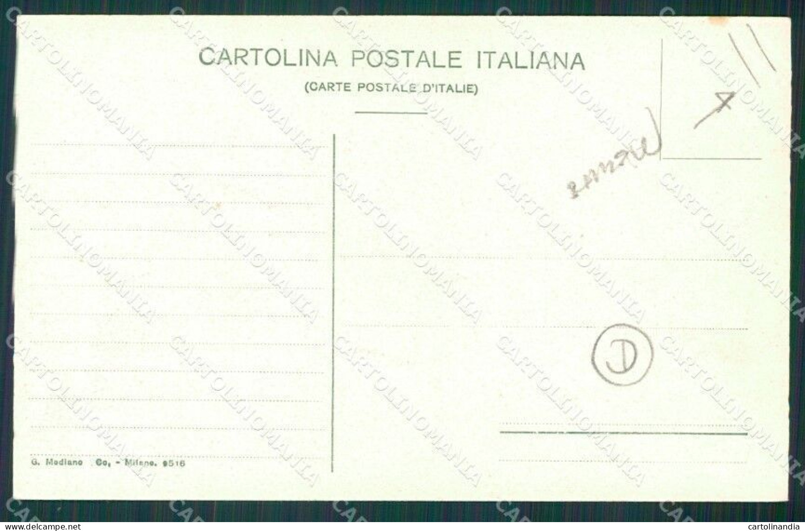 Vibo Valentia Monteleone Terremoto Delle Calabrie PIEGHE Cartolina QZ4279 - Vibo Valentia