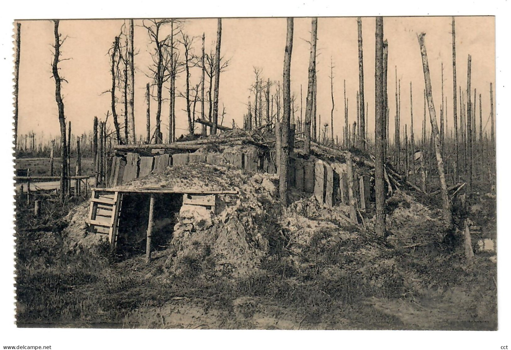 Houthulst   9 Postkaarten Ruines De La Forêt D'Houthulst 1914-1918 - Houthulst