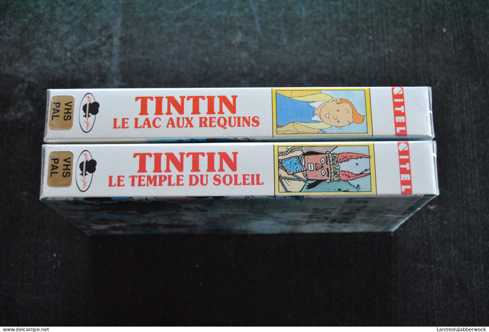 2 Cassettes VHS Tintin Et Le Lac Au Requin Le Temple Du Soleil Sous Blister Editions CITEL Hergé Haddock Milou Tournesol - Video & DVD