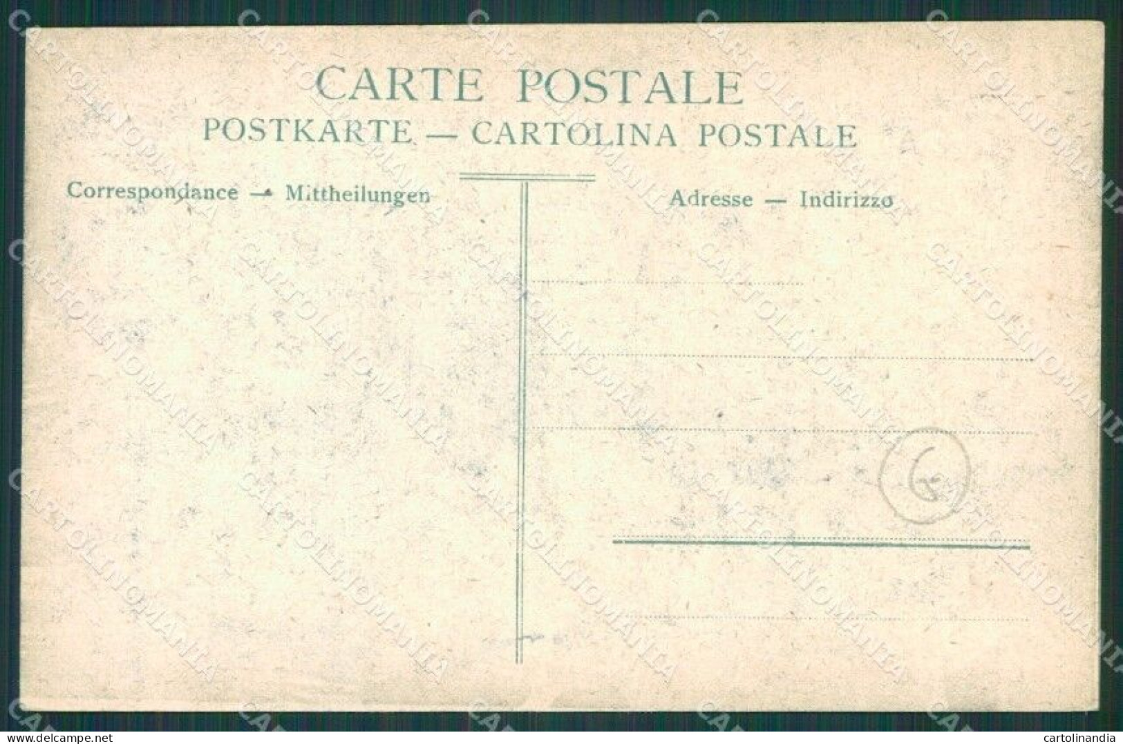 Vibo Valentia Stefanaconi Terremoto Delle Calabrie Cartolina QZ4239 - Vibo Valentia