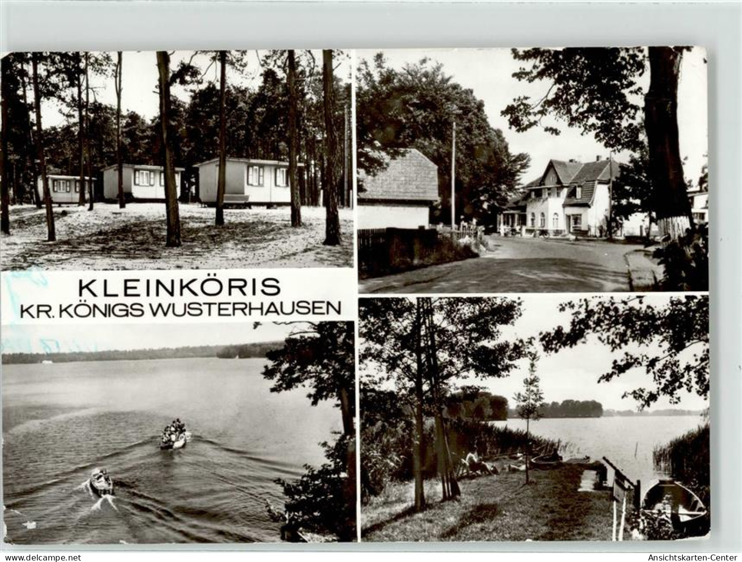 51887402 - Kleinkoeris - Gross Leuthen