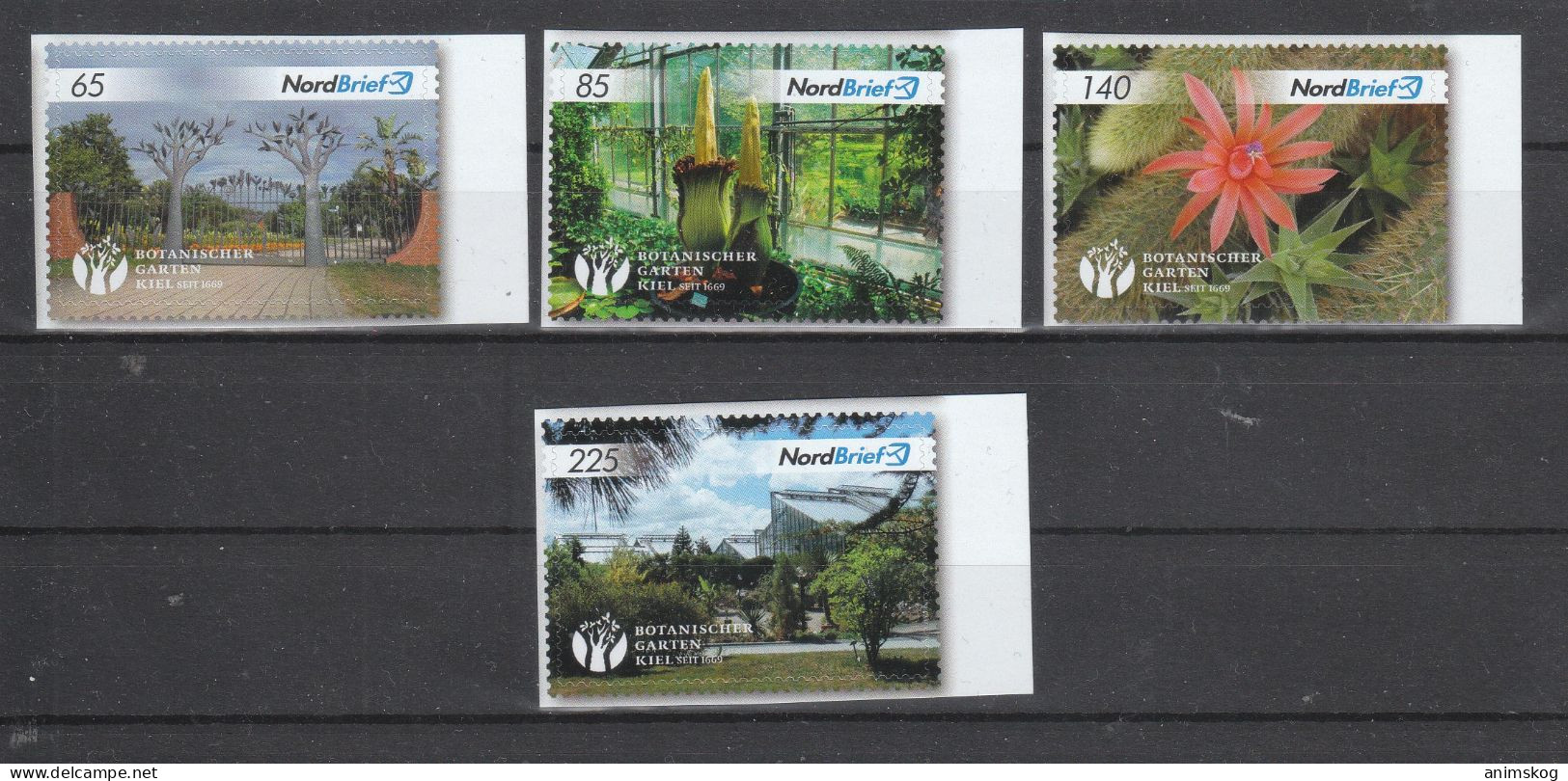 Deutschland**, Privatpost NordBrief, Kaktus / Deutschland, MNH, Private Mail Nordbrief, Cactus - Cactussen