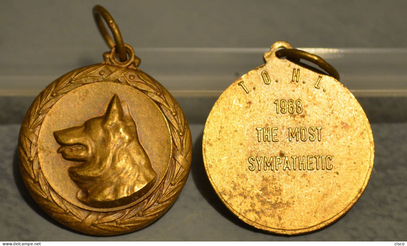 Médaille T. C. H. L. 1988 The Most Sympathetic - Pour Un Chien - Professionals / Firms