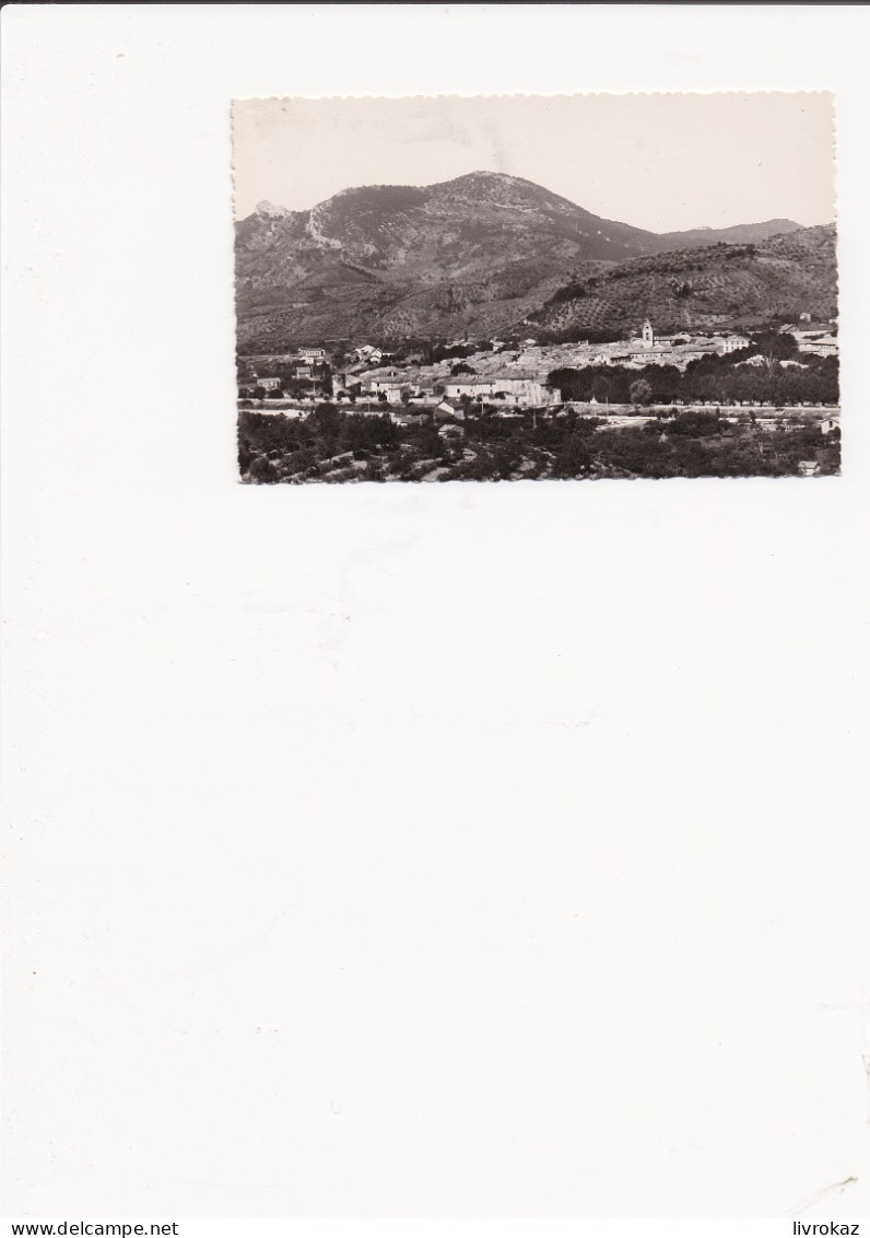 CPSM 26 Drôme Buis-les-Baronnies, Vue Panoramique Et Promenade De La Digue - Buis-les-Baronnies