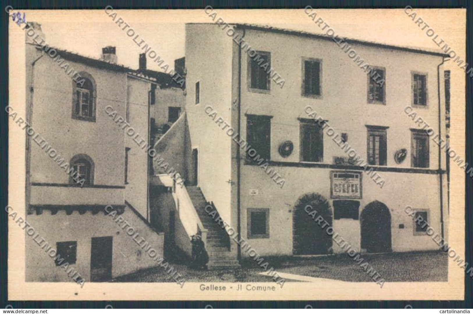 Viterbo Gallese Cartolina MV1540 - Viterbo