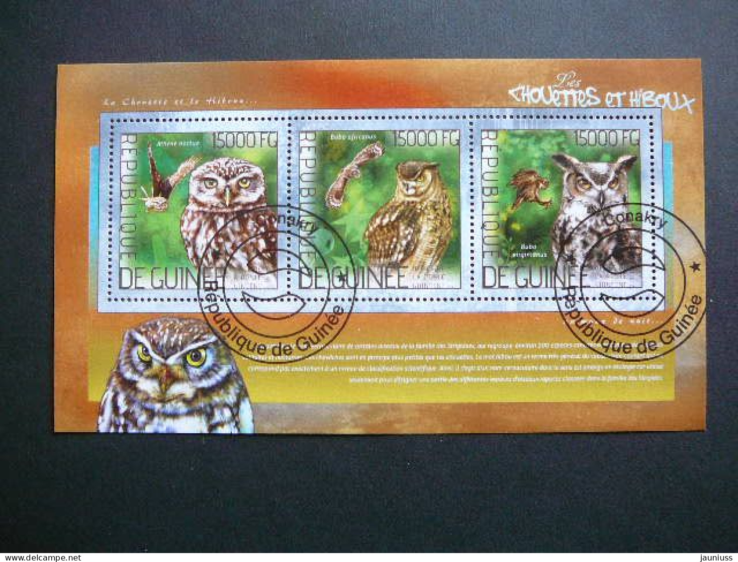 Owls. Eulen. Les Hiboux  # Guinea Guinee 2014 Used S/s #32 Birds - Búhos, Lechuza