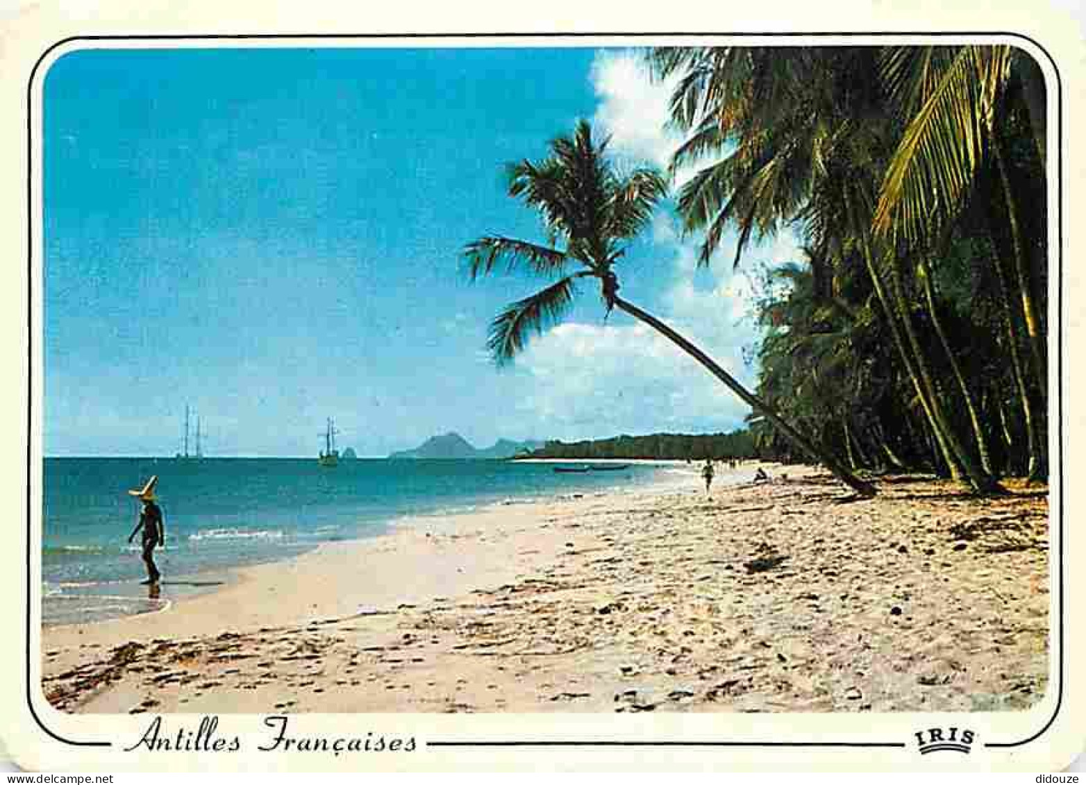 Antilles - Antilles Francaise - Plage De Cocotiers - CPM - Voir Scans Recto-Verso - Altri & Non Classificati