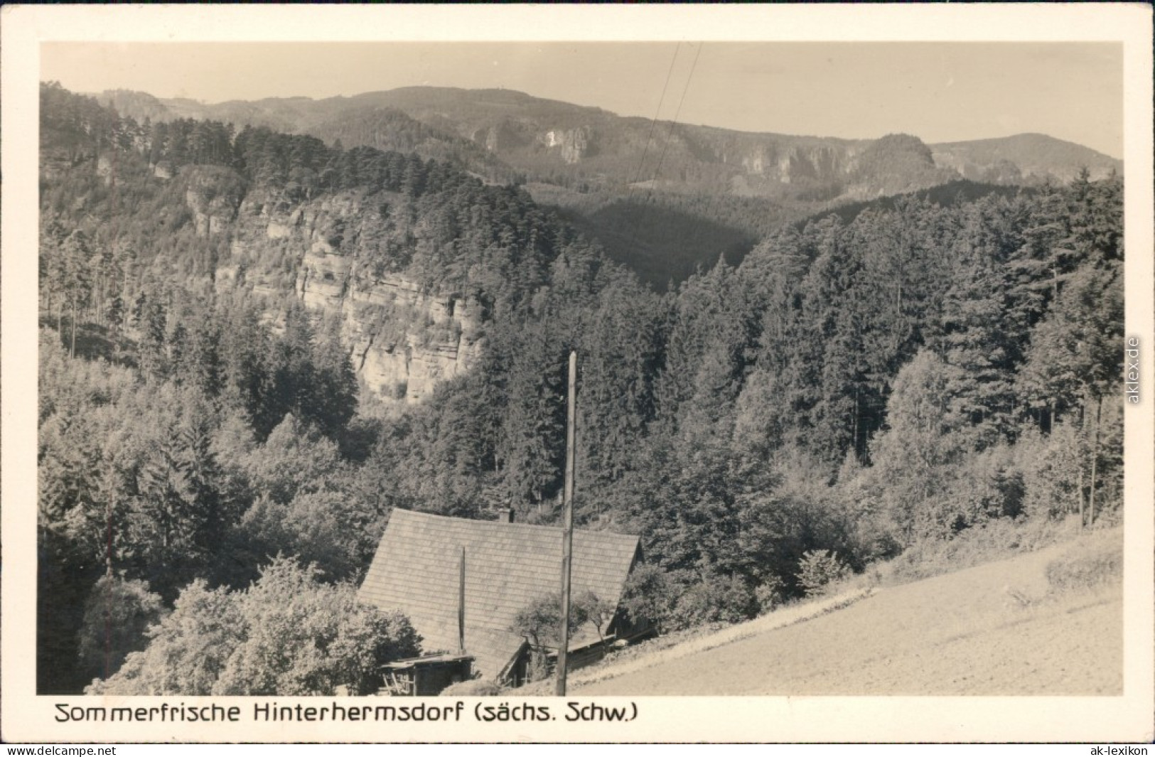 Ansichtskarte Hinterhermsdorf-Sebnitz Panorama-Ansicht 1930 - Hinterhermsdorf