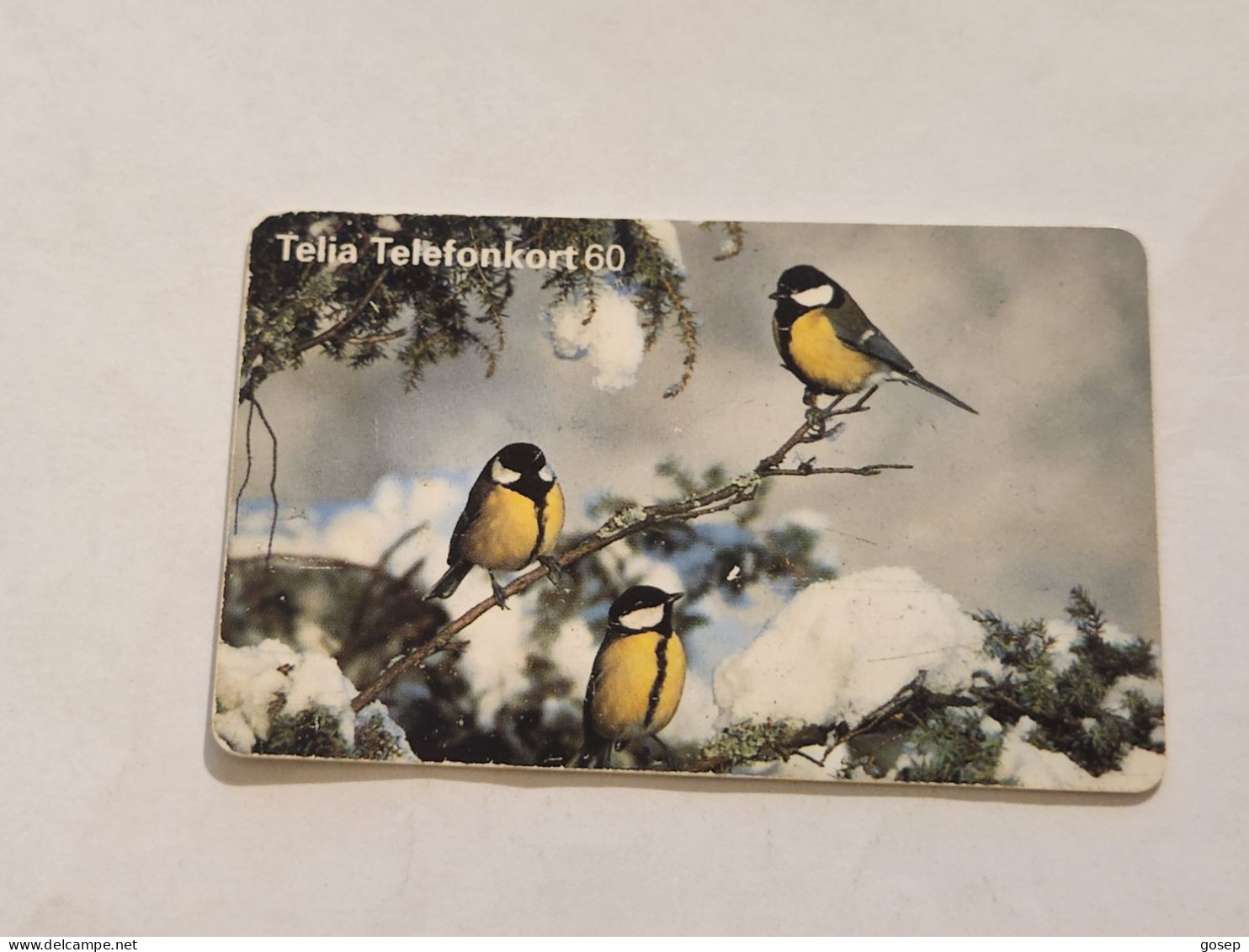 SWEDEN-(SE-TEL-060-0093)-Bird 21 Great -(25)(Telefonkort 60)(tirage-100.000)(1620113)-used Card+1card Prepiad Free - Sweden