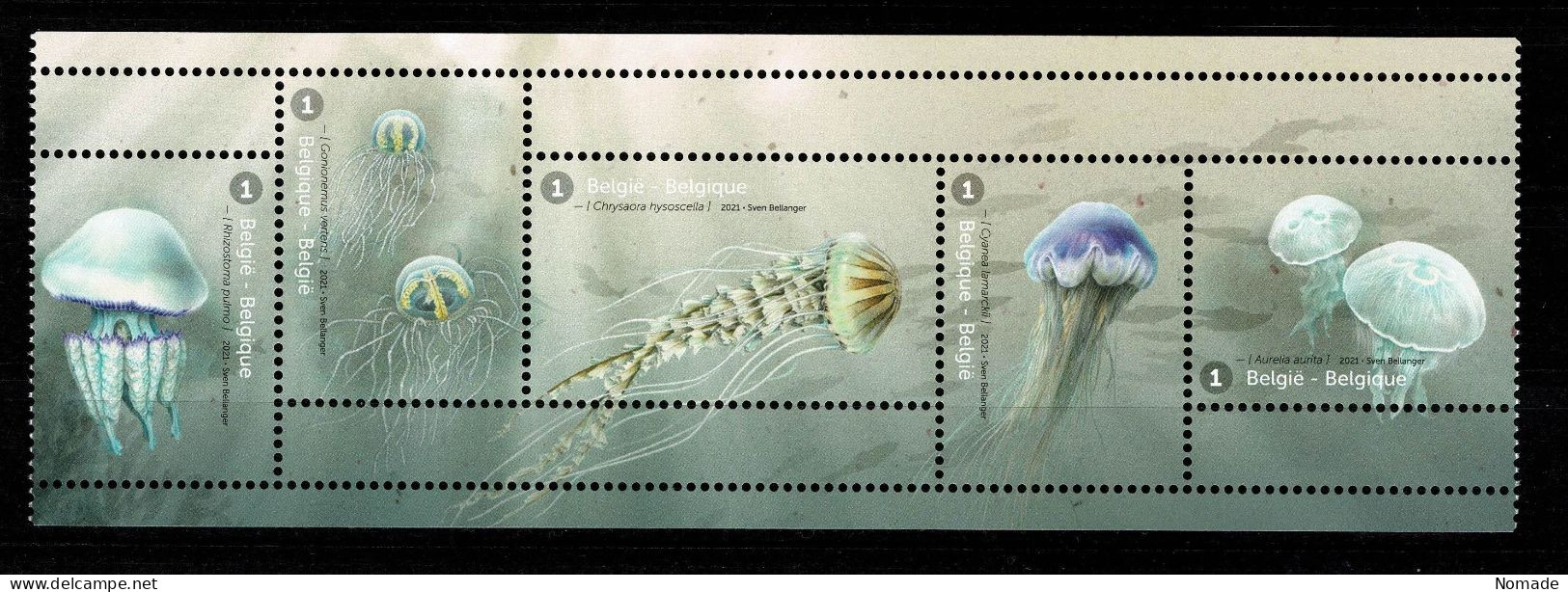 Belgique COB 4998/5002 Méduses 2021 VF 7,3 € - Unused Stamps