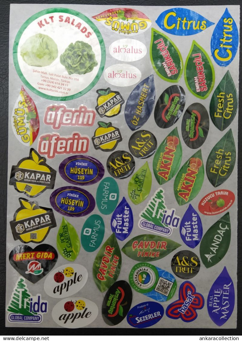 AC - FRUIT LABELS Fruit Label - STICKERS LOT #225 - Fruits & Vegetables