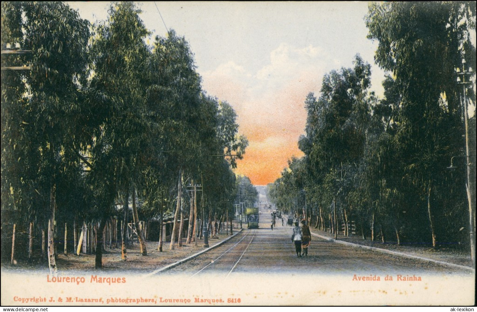 Postcard Maputo (Lourenço Marques) Avenida Da Rainha Mozambique 1909 - Mozambique
