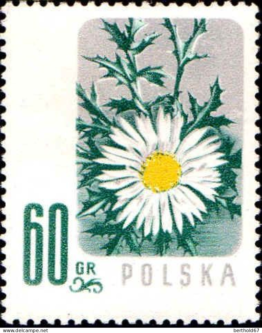 Pologne Poste N** Yv: 904/907 Préservation De La Flore - Neufs