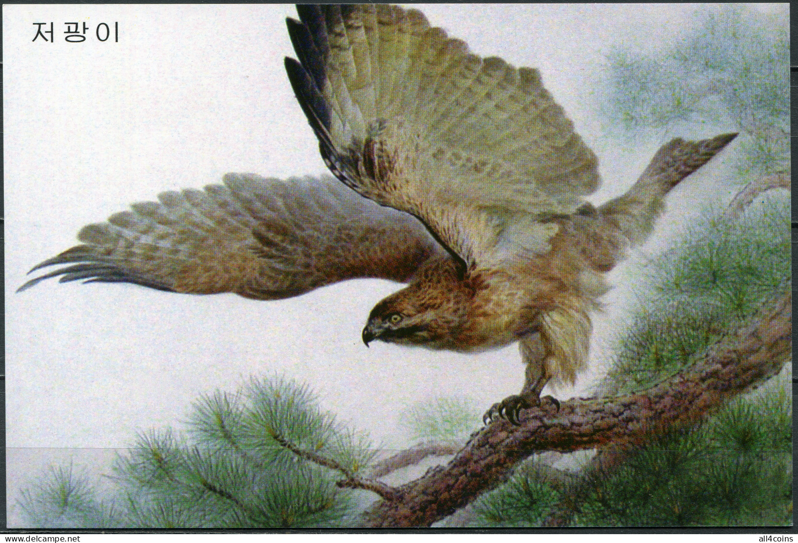 Korea. 2009. Falcon (Falco) (Mint) PostCard - Korea, North