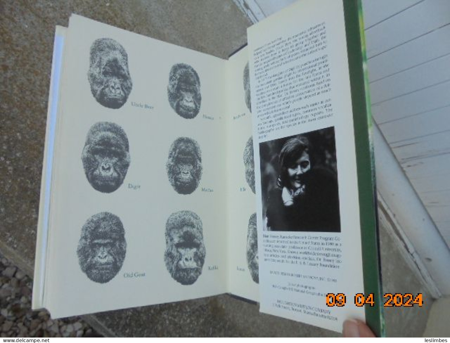 Gorillas In The Mist - Dian Fossey - Houghton Mifflin Company 1983 - Otros & Sin Clasificación