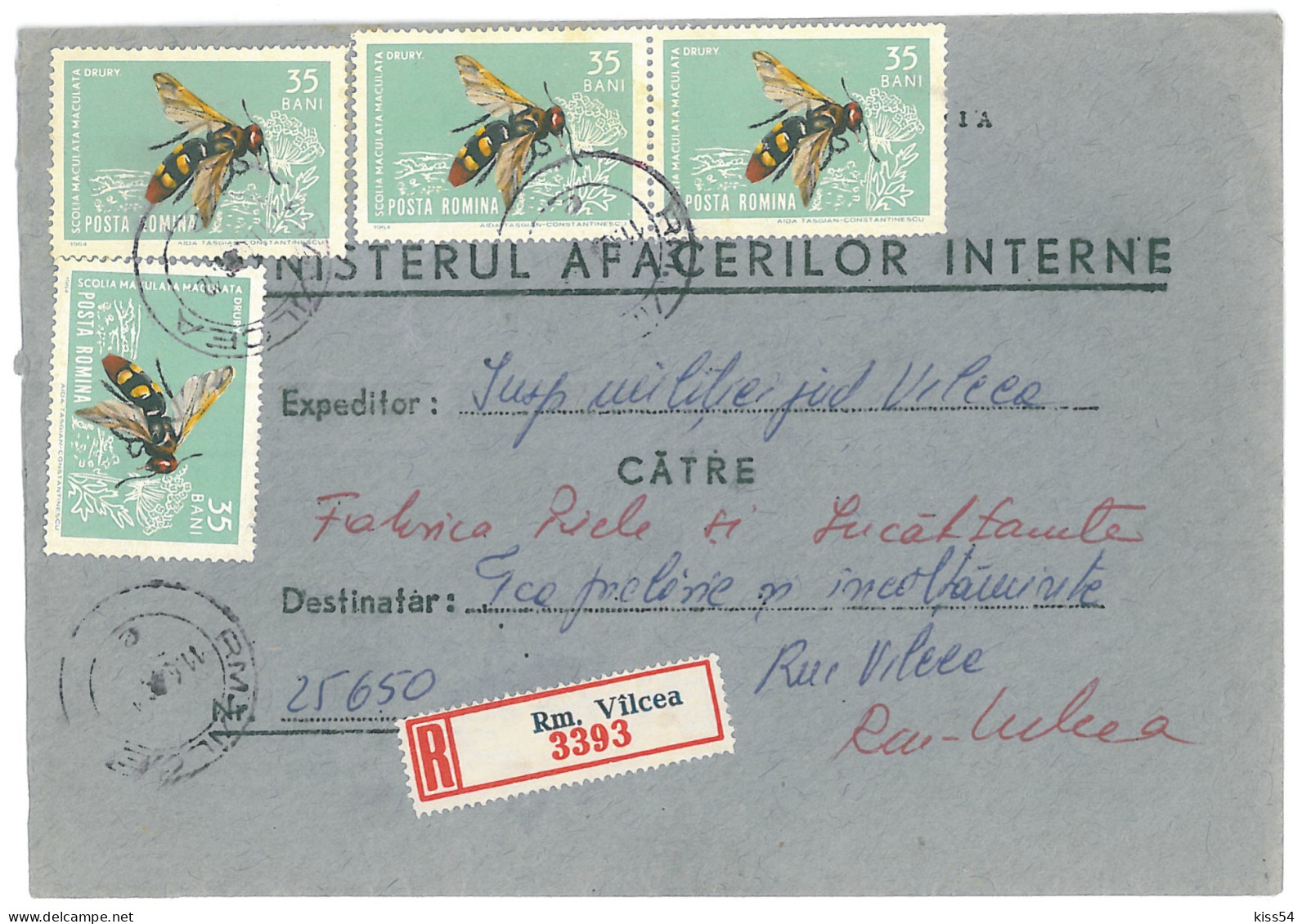 CIP 19 - 306-a Ministerul Afacerilor Interna, Rm. VALCEA - REGISTERED Cover - Used - 1968 - Briefe U. Dokumente