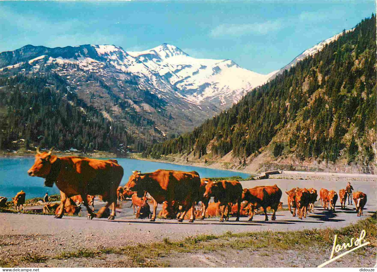 Animaux - Vaches - L'Eté Dans Nos Montagnes - En Route Vers Les Pâturages - CPM - Voir Scans Recto-Verso - Vacas