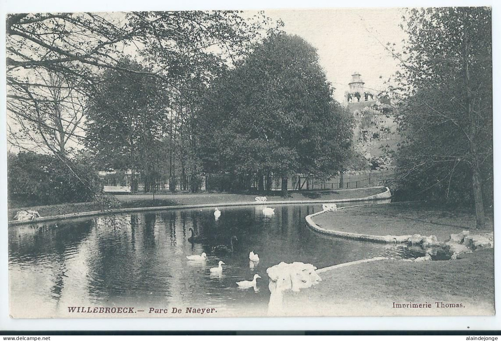 Willebroek - Willebroeck - Parc De Naeyer - 1910 - Willebroek