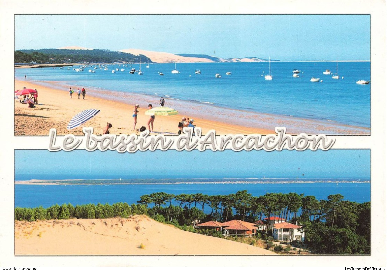 FRANCE - Arcachon - Bassin D'Arcachon - Animé - Carte Postale - Arcachon